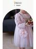 Autumn 2025 Girls' Princess Embroidered Dress with Bag – Fashionable Mesh Puffy Skirt