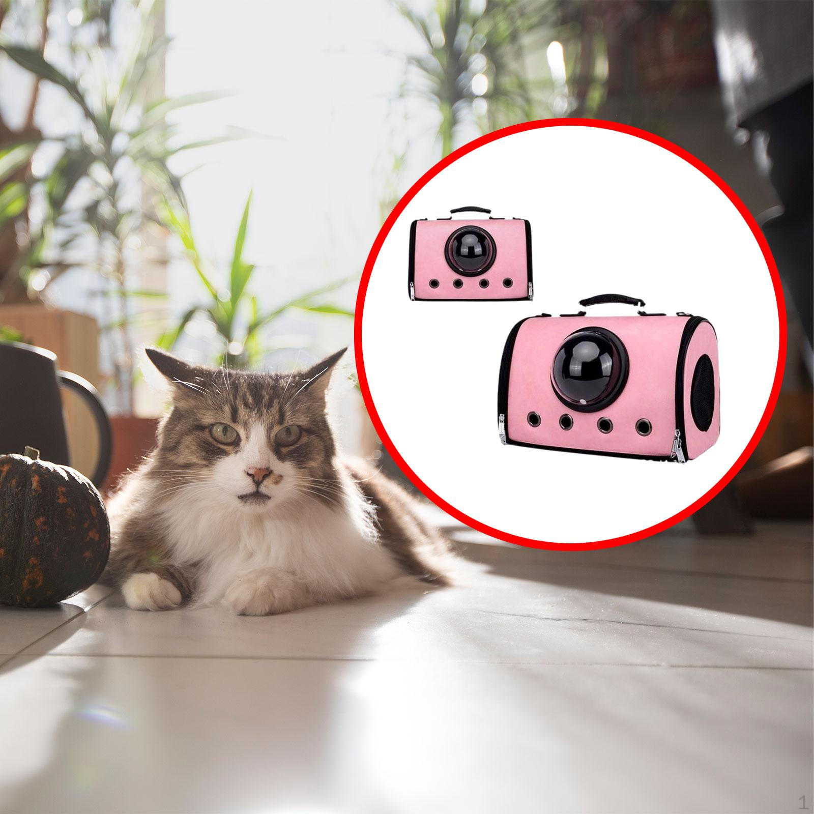 

Роскошный автомобиль для перевозки домашних животных с панорамным видом для активного отдыха на свежем воздухе розовый