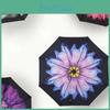Antiuv Sun Rain Protection Windproof Flower Parasols 3 Folding Umbrella