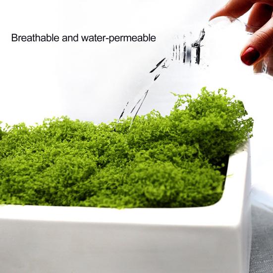 

Yousheng Artificial Moss Faux Moss Decoration Fake Ground Cover Green Plants for Home Planter Mini Landscape DIY Crafts Bonsai Decoration світло-зелений колір