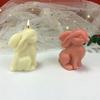 Sitzender Hase 3D Hase Backform für Kuchen DIY Duftkerze Sitzender Hase Silikonform Kuchen Dekorationswerkzeug Kerzenherstellung