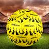 Borussia Dortmund Print Size 5 Soccer Ball, Standard Match Football for Sports Game and Team Practice, Ideal Gift for Soccer Fans