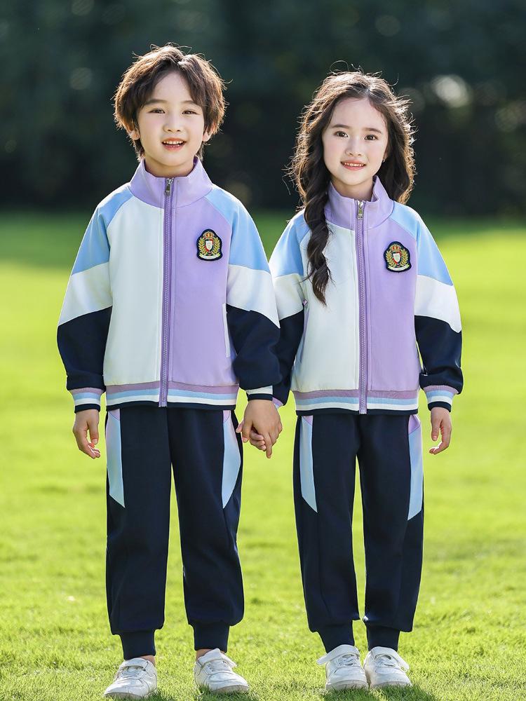 Blue-Purple Sportswear Baseball Suit Set for Kindergarten and Elementary School: Spring, Autumn, and Graduation Uniform