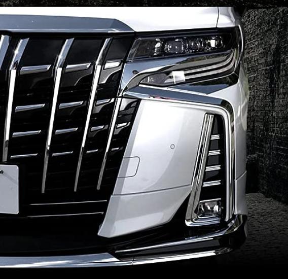 Takelablaze Fog Lamp Garnish for Alphard 30 Series 10 Pieces (Late Model)