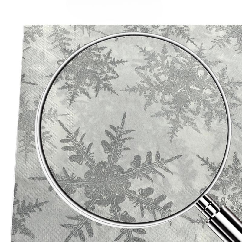 20pcs/Pac 2-Ply Christmas Series Party Decoration Paper Napkins