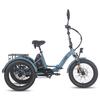 Elektrisches Lastenrad FAFREES F20 Mate 20" 750W Motor E-Bike Faltbar Höchstgeschwindigkeit 30 km/h Doppelte Hydraulikbremse Maximale Reichweite 115 km Zuladung 180 kg