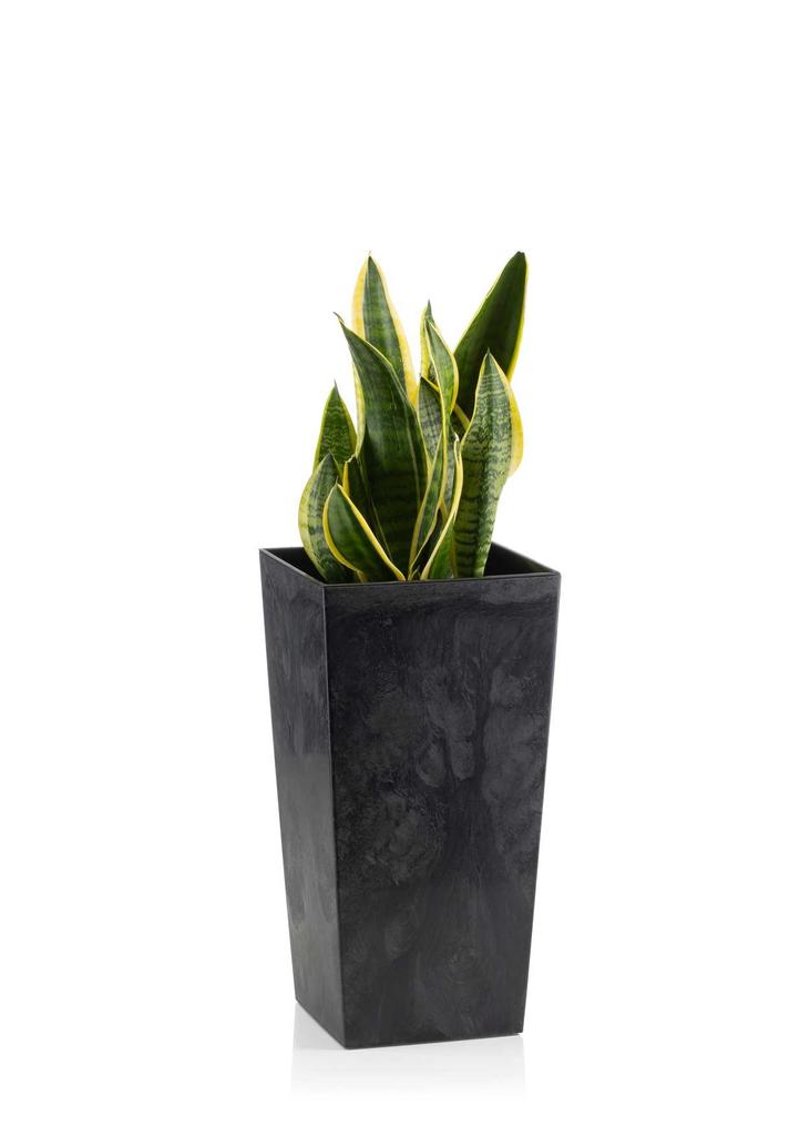 Donica Porto Czarny Beton H46X25X25 Cm