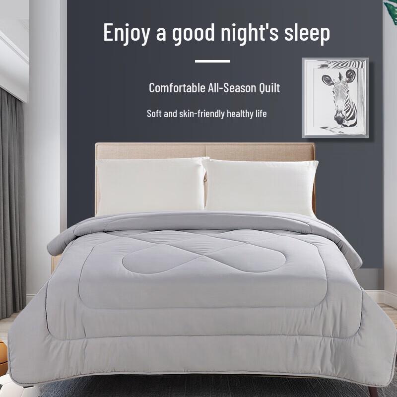 

ANCHOW All-Season Seven-Hole Fiber Duvet