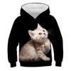Cute 3D Print Cat Pattern Hoodies Children'S Sweatshirt Kawaii Pet Hoodpullover Men Women Long Sleeves Autumn New Clothing