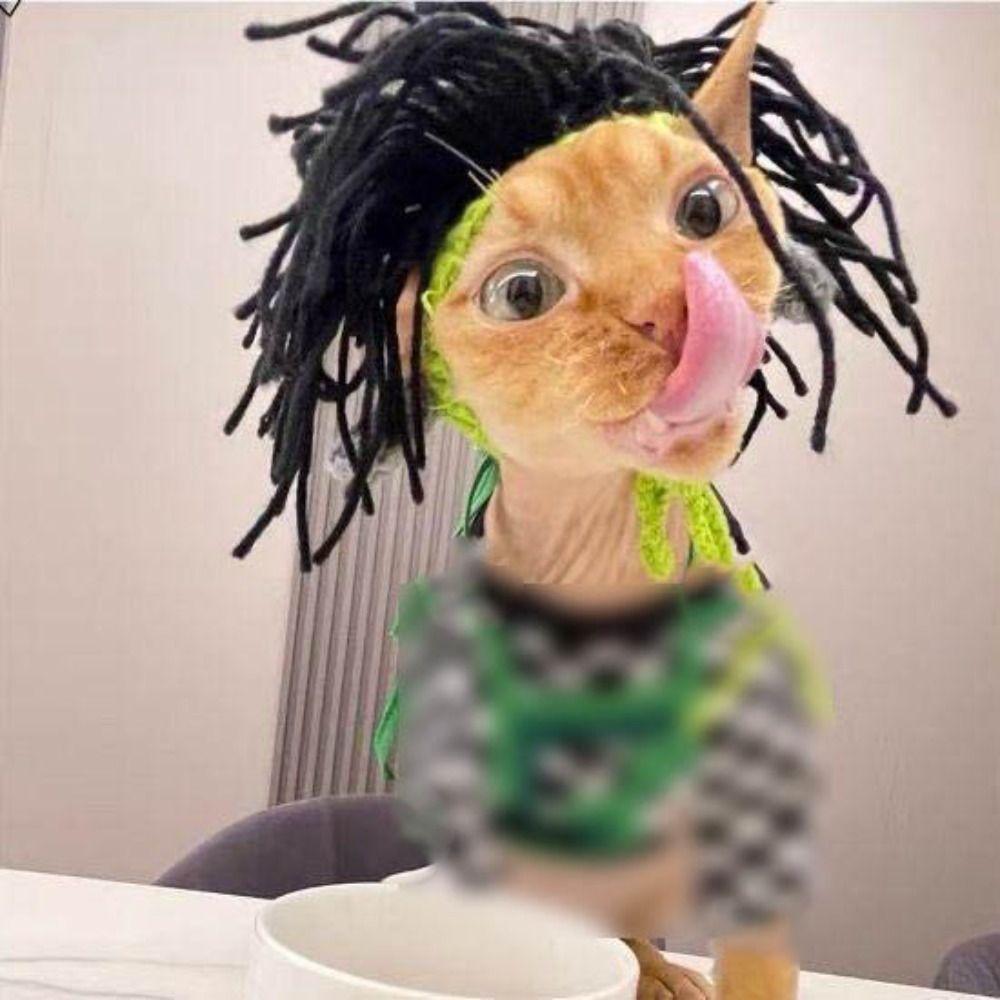 Funny Pet Hat Knitted Cat Cap Cute Pet Accessories  DevonRex