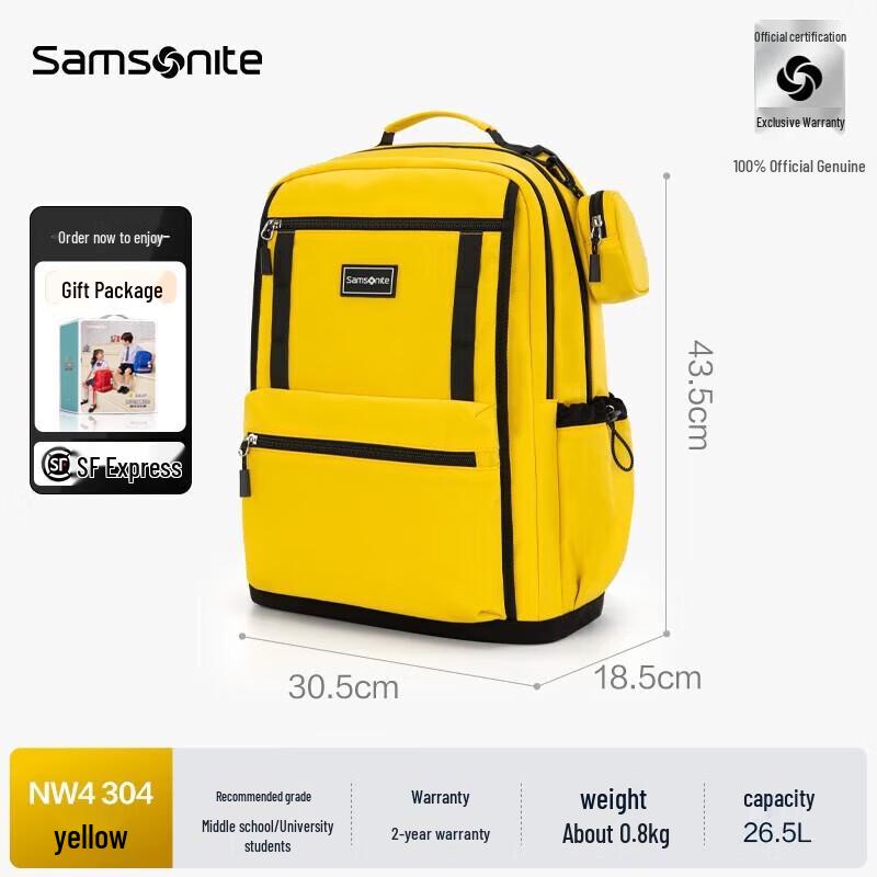 Samsonite NW4*063 Casual Student Laptop Backpack