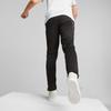 Boys' sweatpants Puma ACTIVE SPORTS POLY black 67631701 size 152