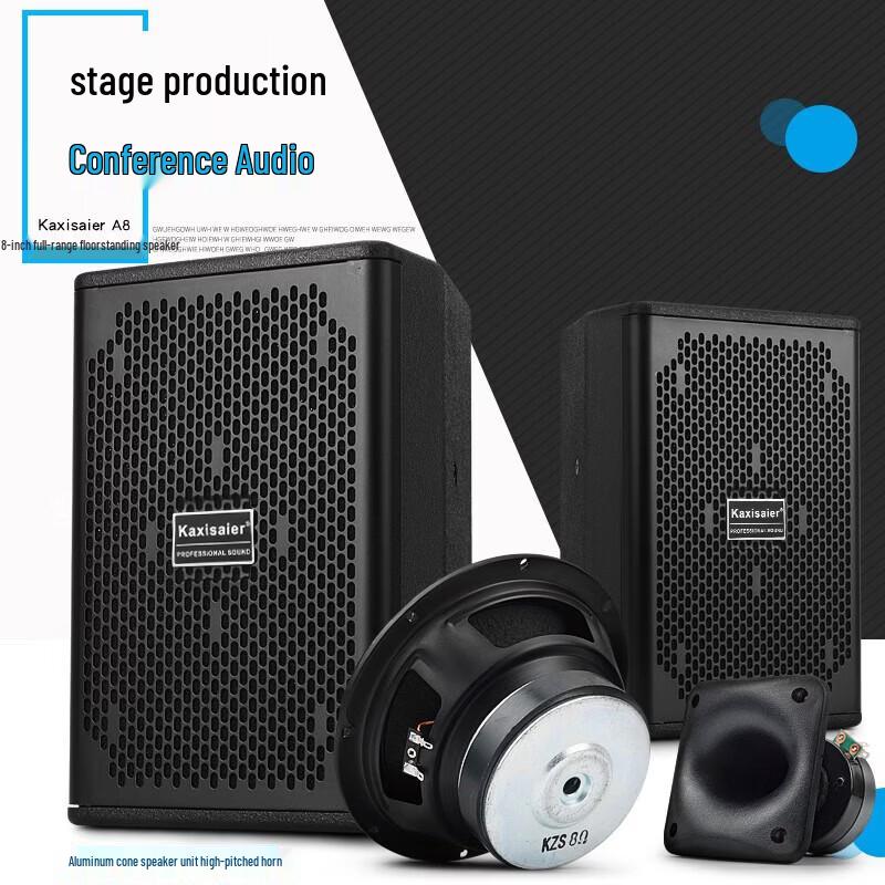 KAXISAIER Professional Passive Full-Range Speaker CN Plug (adapter Included)