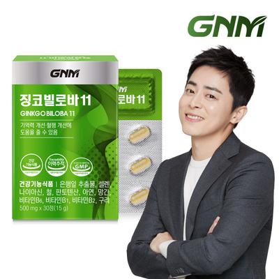 Ginkgo Biloba 11 1 Schachtel / Ginkgoblatt-Extrakt Vitamin B Zink Pantothensäure