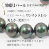 [Your and My Jewelry Box] Black Pearl Necklace and Earrings Set - Peacock Color  Black Mother-of-Pearl Pearls 10.0mm Up, 45cm Size Made in Japan
