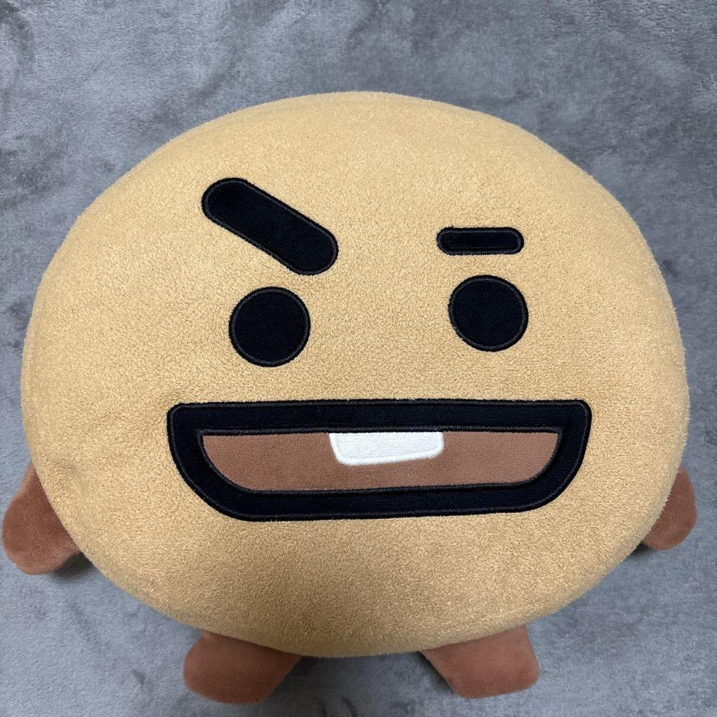 [USED] BT21SHOOKY Plush Toy