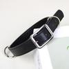 Medium Large Dog Leather Collar Leash Set Adjustable Pet Training Walking Gear