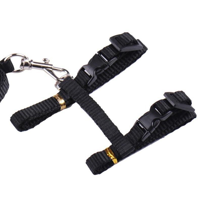 Haustier Traktion Harness Gürtel Katze Harness Leine Nylon Tiere Katze Kätzchen Halfter Kragen