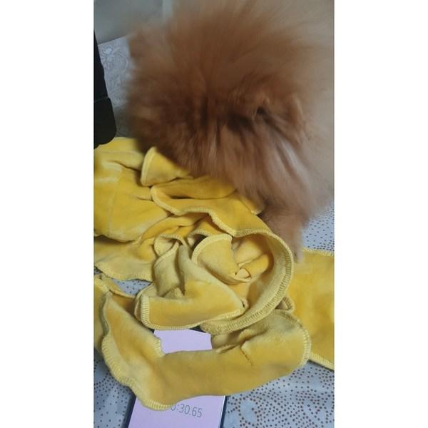Cloud Pot Sniffing Bag Long-lasting Pull Out Bag Nose Work, Sky