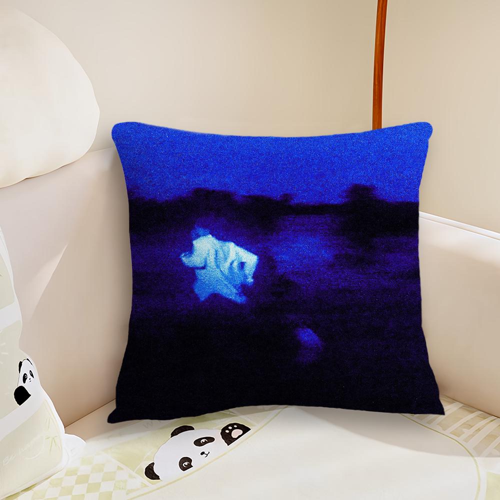 Singer D-Daniel Caesar Never Enough Pillow Case Living Room Sofa Cushion Cover Suitable For Home Bedroom Room Decoration