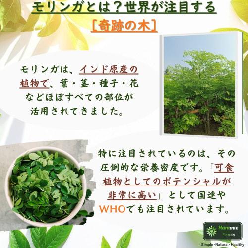 Natural Moringa Powder 100g | No Artificial Colors, Preservatives, or Pesticides | Superfood | Made in India | Health | Miracle Tree | No Additives |