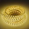 1M Waterproof SMD 5050 LED Strip 220V 230V 60leds/m Flexible Tape Rope Light