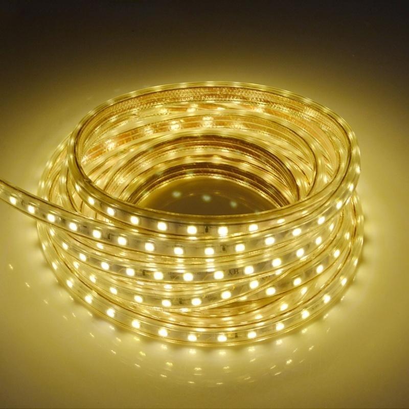 1M Waterproof SMD 5050 LED Strip 220V 230V 60leds/m Flexible Tape Rope Light
