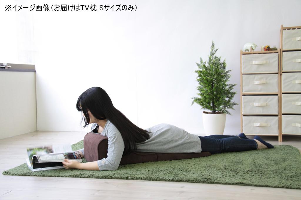 AZUMAYA TV Pillow, Small, FCC-119BR