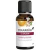 Essential Oil Diffuser - PRANARÔM - Festive Spirit Organic - 30 Ml - Wireless - Multicolor