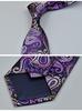 Rio Grande Stripe Paisley Pattern Tie & Pocket Square Set for Men (Type 20) ZM-NT4875-20