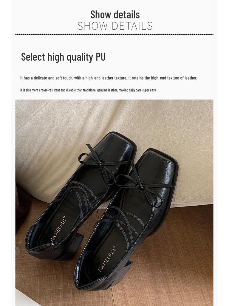 Women's 2025 Chunky Heel Mary Jane Shoes - French Square Toe, Pig Mouth Design, Spring/Autumn