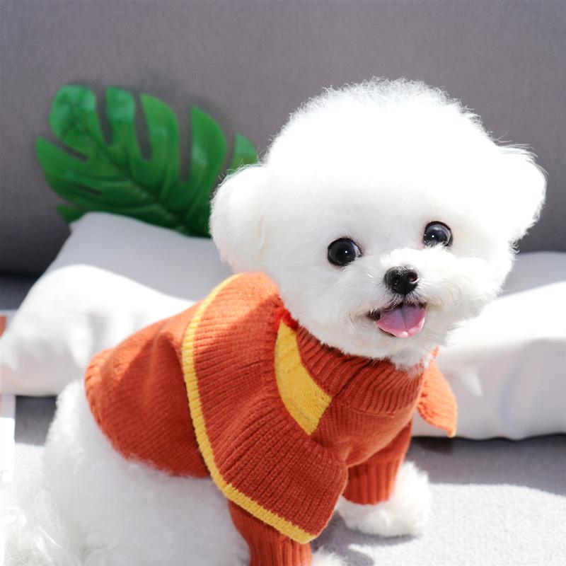 Bixin Herbst/Winter 2023 Kleidung für kleine Hunde und Katzen, Welpenbekleidung für Bichon, Teddy, Zwergspitz