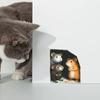 Cartoon Simulation Cute Mouse Holes Can Be Freely Pasted On Bedroom Living Room and HomeWall Stickers