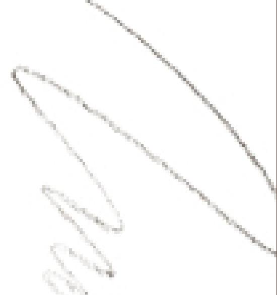 RULIDIA Easy Detail Augenbrauen-Projekt