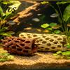 Fish And Shrimp Shelter Aquarium Cave, Artificial Tree Trunk Hide, Tank Porous Tunnel Hideout, Realistic Cave for Betta Hiding Resting Natural