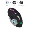 RYRA Profession Wireless/Wired Gaming Mouse 6 Buttons 3600 DPI Computer Mechanical E-Sports Backlight 2.4g USB Mouse For