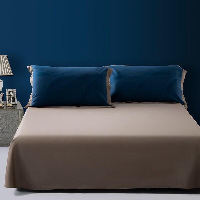 Mercury Home Textiles Moonlit Serenade Cotton Sateen 4-Piece Bedding Set