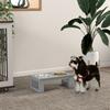 Raised Dog Feeding Bowls with Stand, Stainless Steel for Extra Small and Small Dog, 44L x 24W x 15H cm - Grey