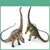 Realistic Jurassic Brachiosaurus Model Desktop Decoration Pvc Collectible Figure
