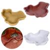 Large Plastic Shelled Animal Bathing Container With Slip Resistant Slope For Water And Land Animals