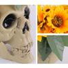 With Flower Skull Statue Simulation Halloween Decoration Prop Sunflower Skull Ornament  Party
