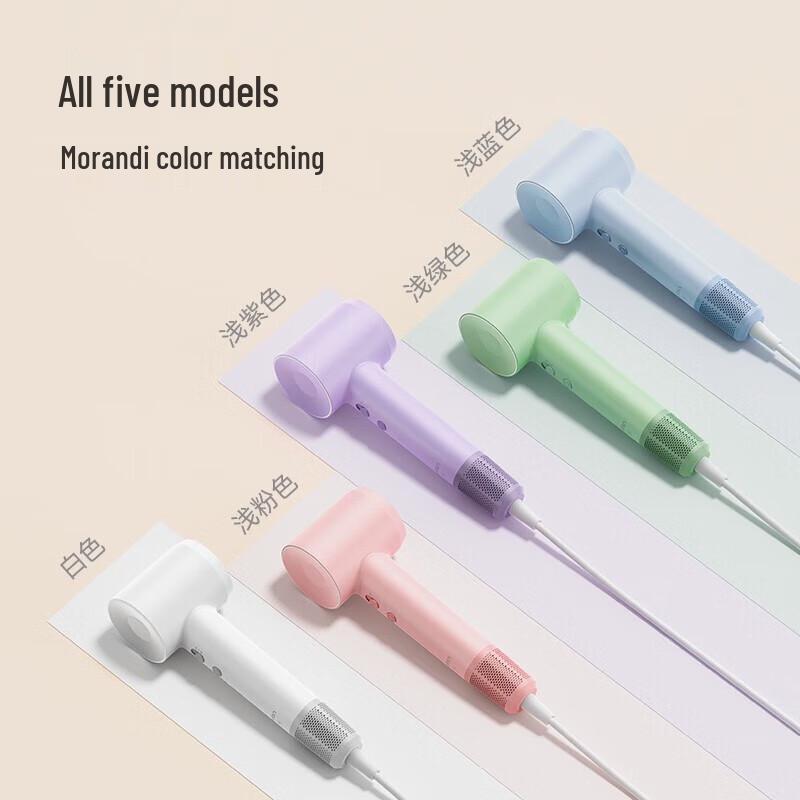 Laifen SE High-Speed Negative Ion Hair Dryer