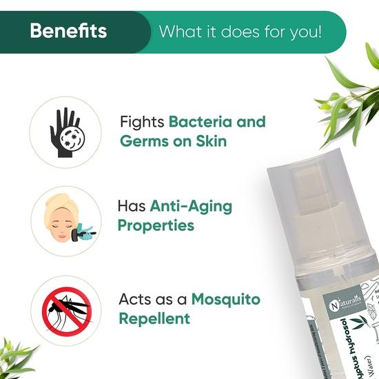 Naturalis Essence of Nature Eucalyptus | Hydrosol Spray for Face and Body