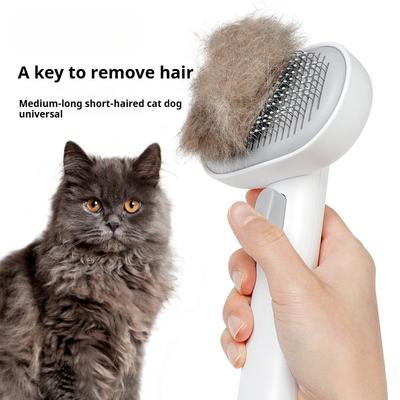 Pet ProductsCat CombFloating Hair Remover