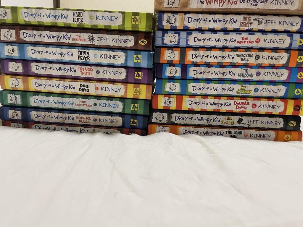 [USED] Diary of a Wimpy Kid 17 Set