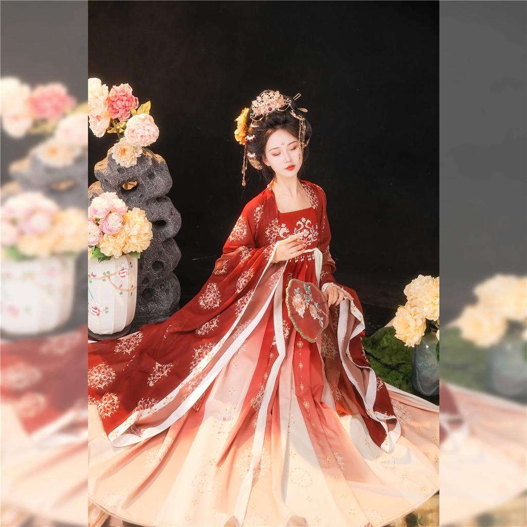 Китайский стиль династии Тан, платье HE ZI, женский костюм Hanfu, повседневный костюм с вышивкой