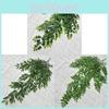 Olive Leaf Wall Hanging For Wedding Decor And Photography Backdrop