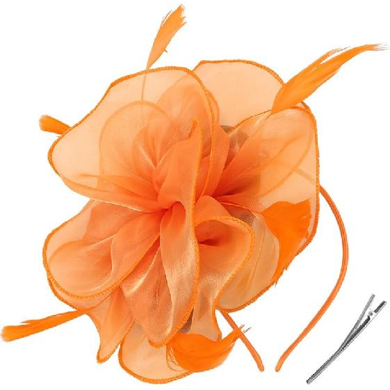 DRESHOW Fascinators Hat Tea Party Headwear Ribbons Feathers on a Headband and a Clip for Women