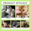 Kriath Cat Probiotic Drops 60ml - 3-in-1 formula promotes gut balance & comfort, boosts gut health & immunity, pet health care product.