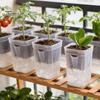 Clear Water Reservoir Pot Mini Self Watering Pots with Wick, Plastic Planters Drainage Flower With Cotton Wick Holes & Level Indicator for Indoor